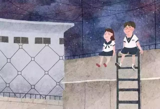 1575624197192821.jpg 3.jpg