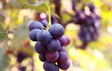 1575880226999040.jpg 2.jpg