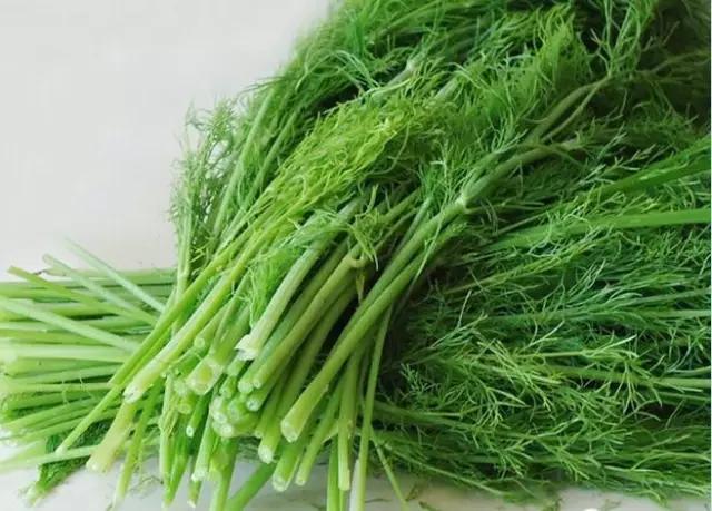 1575880472113681.jpg 1.jpg