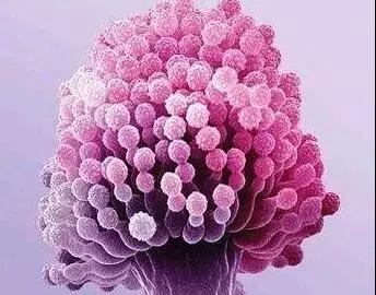 1575882170958116.jpg 2.jpg