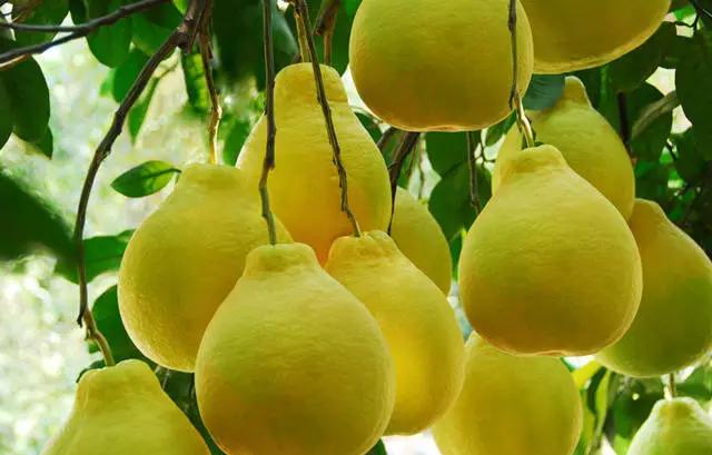 1575882361446942.jpg 4.jpg